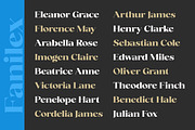 Fanilex, a Serif Font by Propertype (Thumbnail 6 of 16)