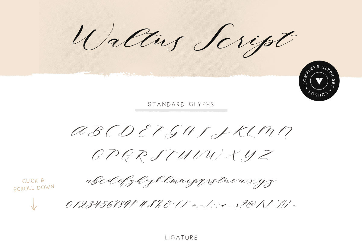 Waltus preview 6