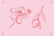 ALMOND LINE ART SET (14+ elements), a Food Illustration by Bonfloret Studio (Thumbnail 8 of 8)