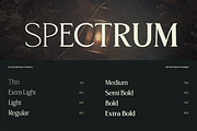 TRT Northem – Elegant Serif Font, a Serif Font by truetype (Thumbnail 2 of 15)
