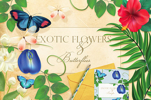 Exotic Flowers And Butterflies