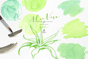 Fresh Watercolor Aloe Vera Set, a Healthcare Illustration by beehouse studio (Thumbnail 5 of 9)
