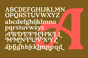 Sunlight Dreams - Retro Serif Font, a Serif Font by Viswell (Thumbnail 7 of 9)