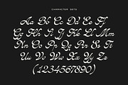 Avandgarde Modern Script, a Font by Swandtype (Thumbnail 10 of 10)