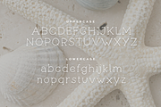 Seashells | A Handwritten Slab, a Slab Serif Font by Vanem Studio (Thumbnail 3 of 9)