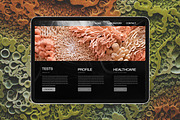 80 Biophilic backgrounds, a Background Graphic by Polli Deeva (Thumbnail 14 of 16)