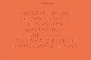 Palm Beach Ligature Summer Font Duo