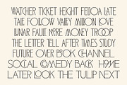 ED Lochaline, a Serif Font by Emyself Design (Thumbnail 5 of 12)