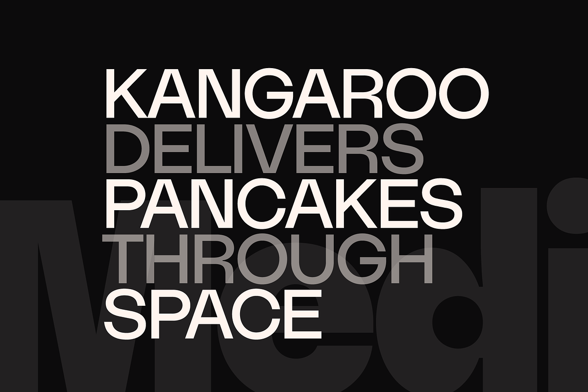 Ratch Font Family, a Sans Serif Font by Arbuz (Photo 6 of 12)