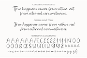 Camille Glint - Handwritten, a Handwritten Font by Indotype Foundry (Thumbnail 4 of 10)