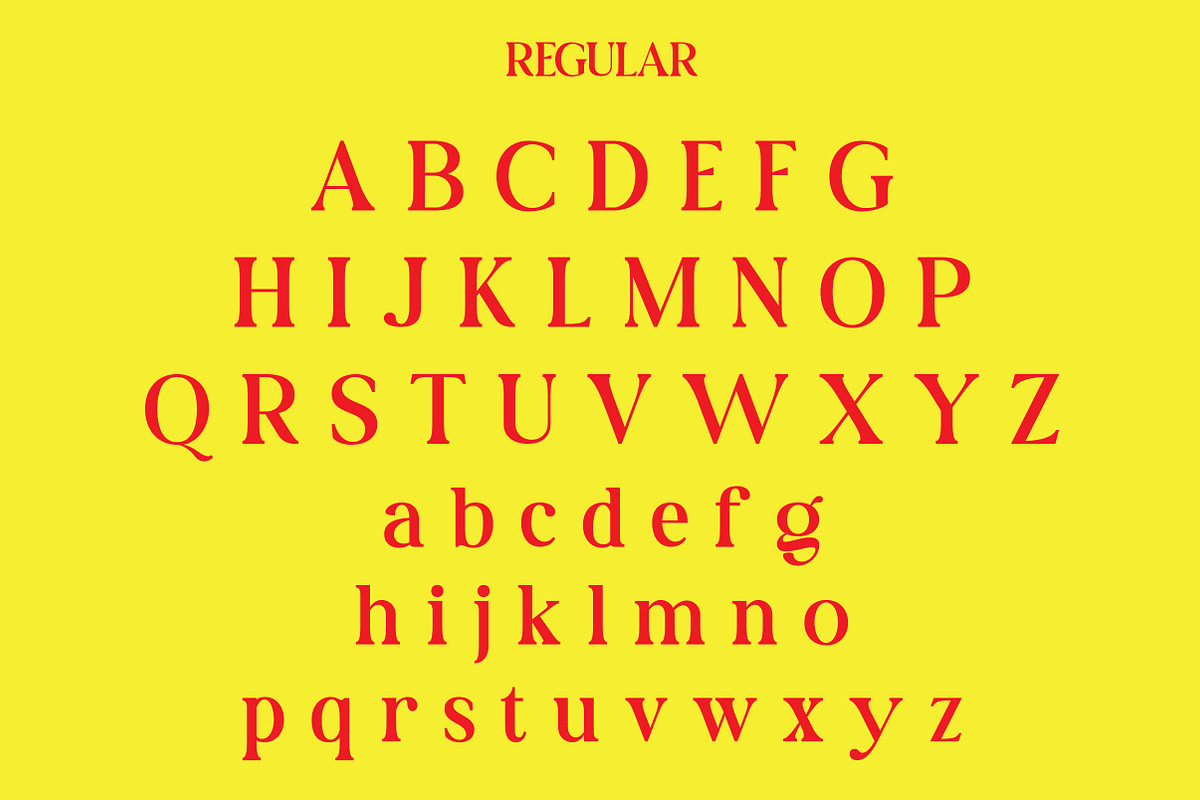 Orelien | Elegant Italic Serif, a Serif Font by Artdez (Photo 3 of 5)