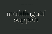 Charming - Classy & Decorative Font, a Serif Font by Sensatype (Thumbnail 16 of 21)