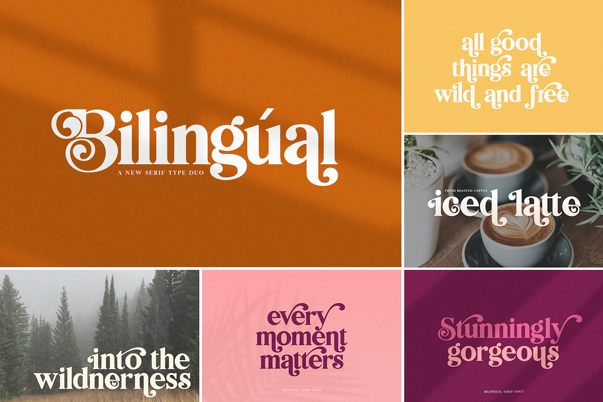 The HUGE Font Bundle (98% OFF) SALE, a Sans Serif Font by Salt & Pepper Designs (Photo 14 of 185)