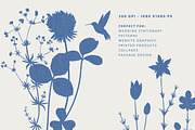 Indigo Wildflowers Illustrations, a Graphic by Paper Flowers Studio (Thumbnail 6 of 6)