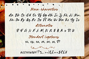 Messy ink script font handwritten, a Script Font by TD fonts (Thumbnail 7 of 10)