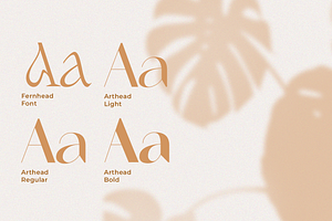 Dreamy Wedding Font Duo