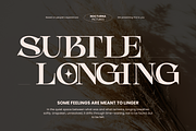 Aseno Modern - Ligatures Serif Font, a Serif Font by Nirmana Visual (Thumbnail 13 of 17)