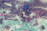 Vintage watercolour collection, a Texture Graphic by Julia Bilenko (Thumbnail 3 of 5)