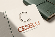 Ceselu - A Refined Luxury Serif, a Serif Font by Astuti Studio (Thumbnail 19 of 24)