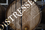 The Modern Serif Font Bundle, a Serif Font by Design 265 (Thumbnail 10 of 33)