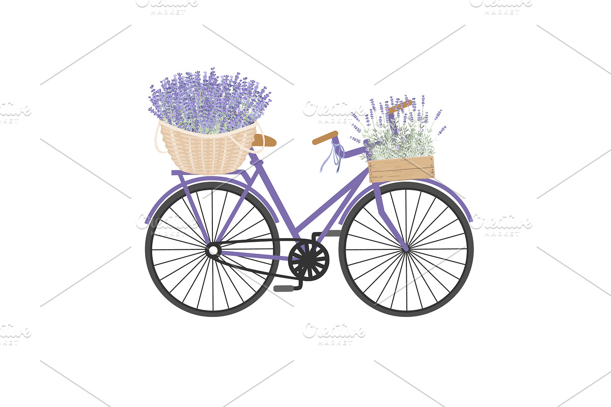 Bicycle with lavender baskets. Retro, an Object Illustration by Toltemara