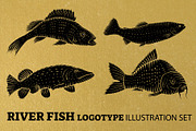 River Fish logotype, an Illustration by Sukhochev (Thumbnail 1 of 3)