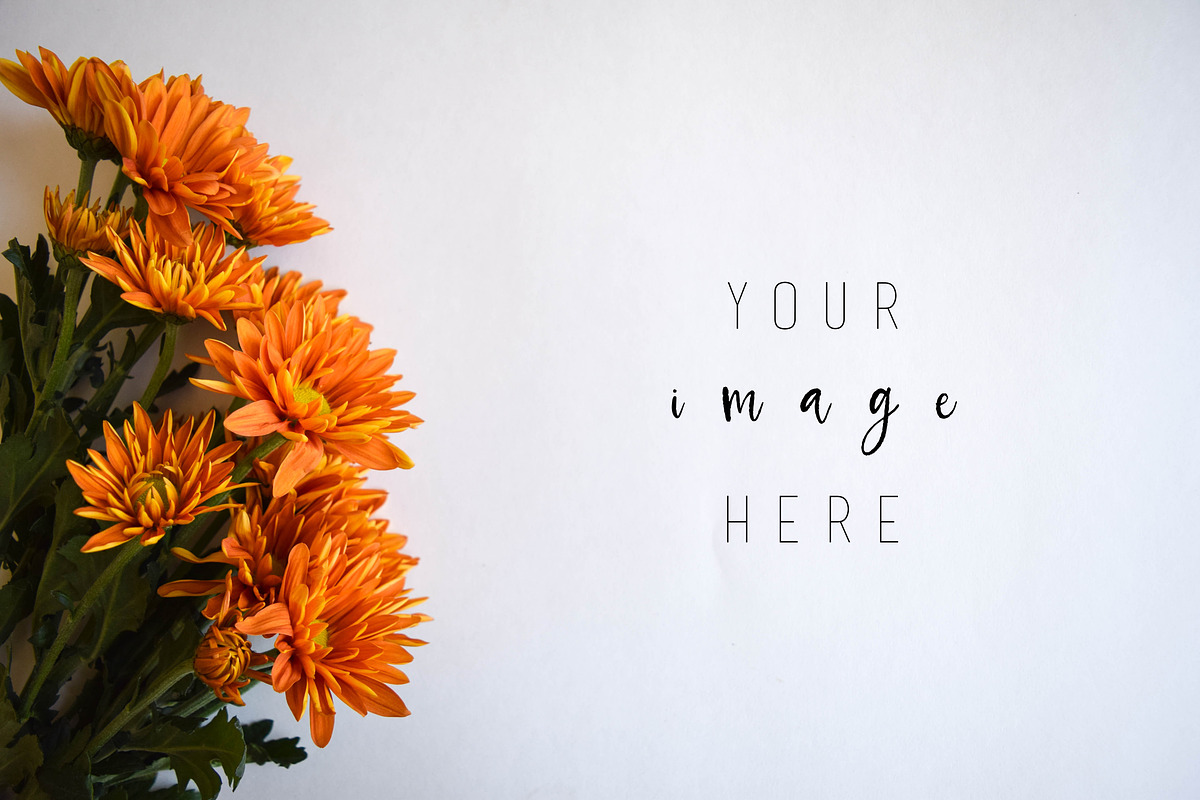 Fall Holiday Photo Bundle, a Graphic by Hudson Farmhouse (Photo 6 of 7)