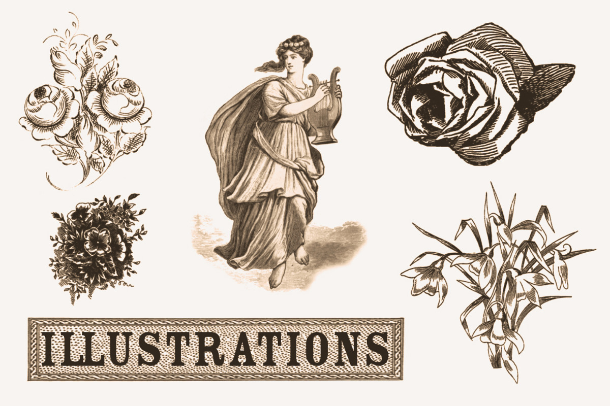 Antique Graphic Elements Brushes, a Brush Add-On by Blue Line Design (Photo 6 of 8)