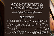 Majestic Skyline, a Script Font by operatype.co (Thumbnail 13 of 15)
