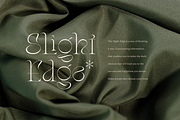 Stager - Unique Classy Serif, a Serif Font by Dharmas Foundry (Thumbnail 7 of 15)