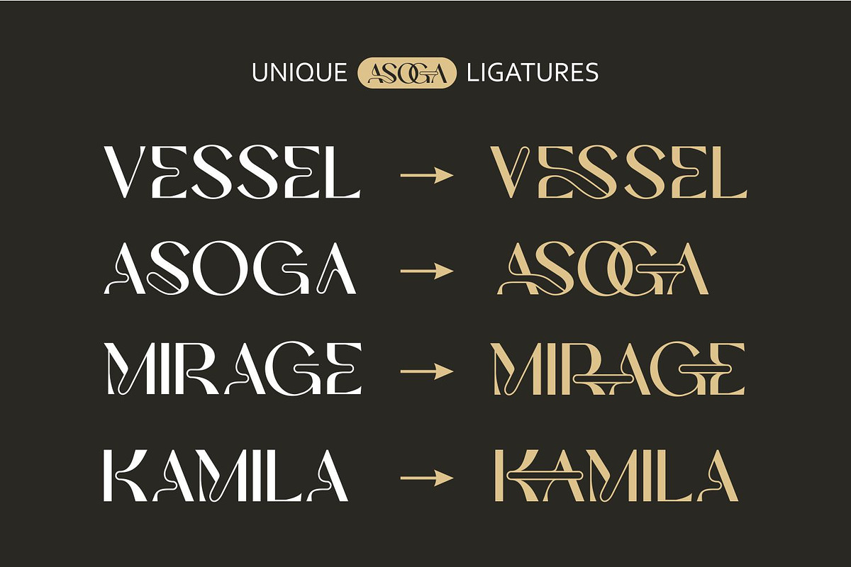Asoga – Modern Elegant Serif Font, a Serif Font by WhymoreArt (Photo 6 of 11)