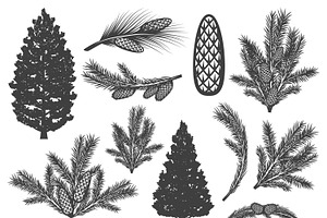 Vintage Coniferous Tree Elements Set