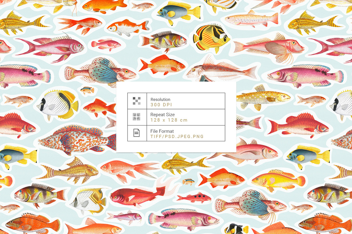 Mulgogi, Luxury Aquatic Designs., a Pattern Graphic by TSTUDIO (Photo 6 of 15)