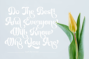 Luna Bella - Sweet Retro Script, a Script Font by Sign Studio (Thumbnail 4 of 8)