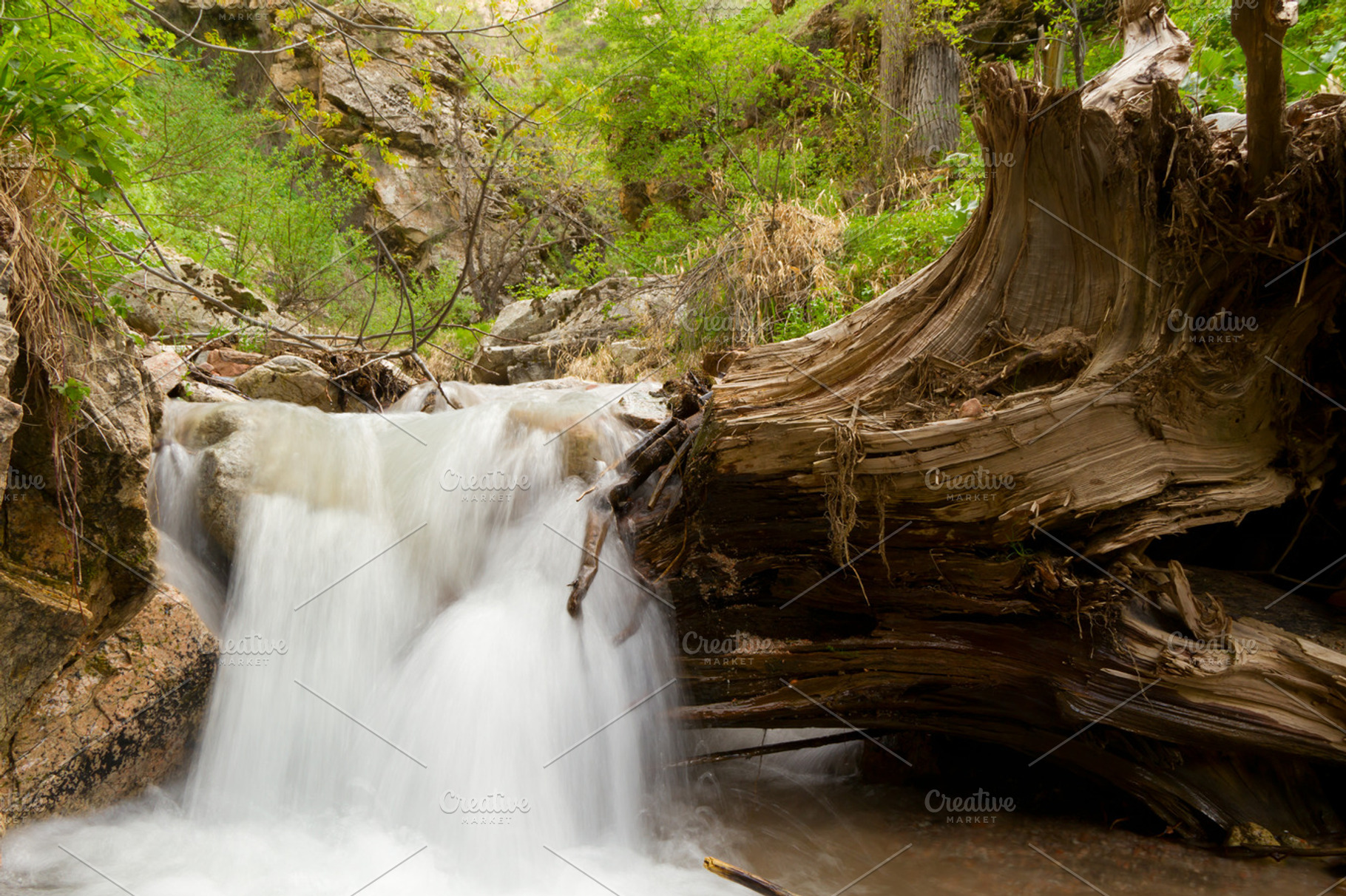 Mountain waterfall stock photo containing waterfall and forest