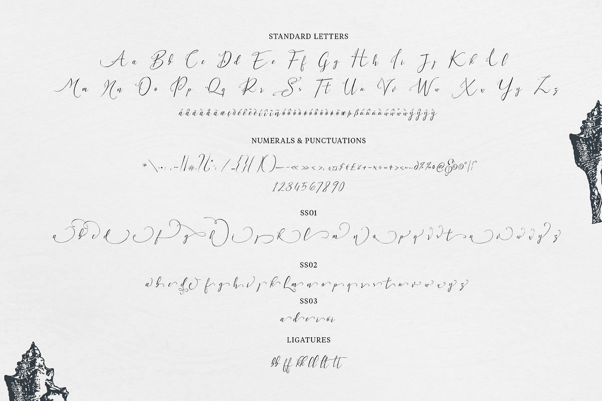 Milova | Modern Calligraphy font, a Script Font by creativemedialab (Photo 7 of 7)