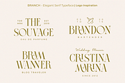 BRANCH - Elegant Serif Typeface, a Serif Font by zeenesia (Thumbnail 5 of 16)