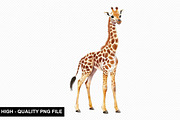 Watercolor Giraffe Clipart Bundle, an Illustration by crative8112 (Thumbnail 2 of 8)