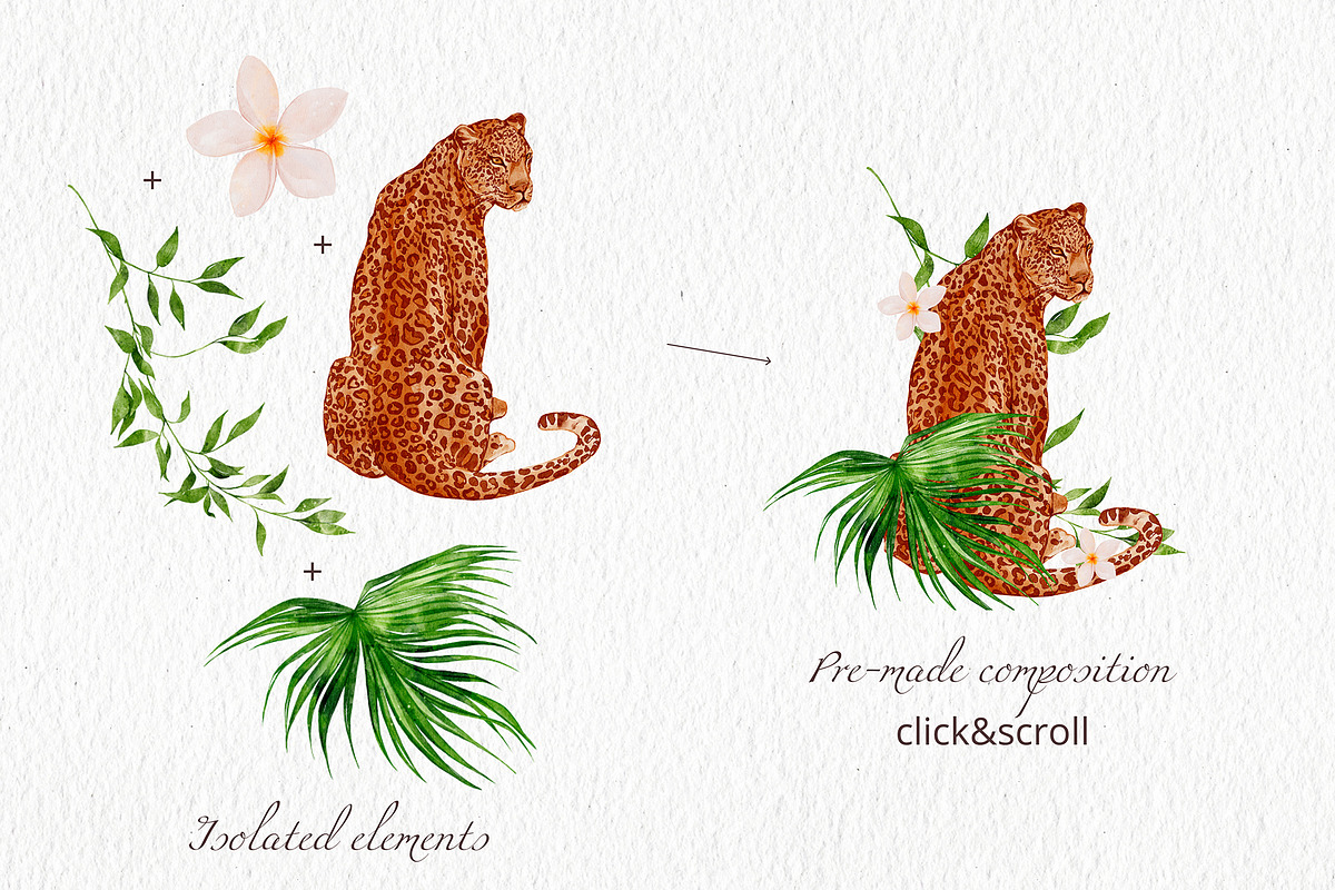 Tropical Collection Watercolor, a Decorative Illustration by Yakovleva Margarita (Photo 3 of 20)