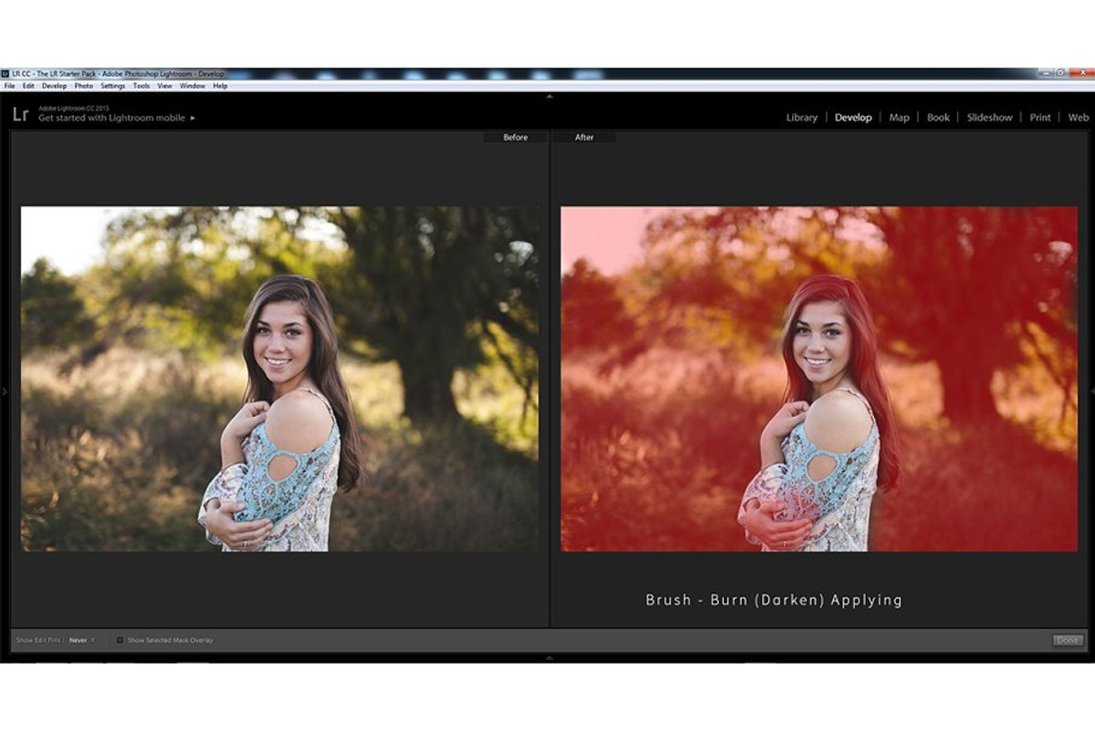 2100+ Lightroom & ACR Presets Bundle, an Action Add-On by PixelHive Pro (Photo 103 of 114)