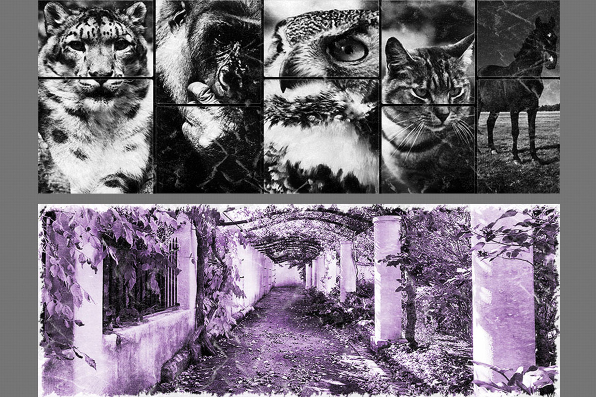 Vintage Facebook Timeline Maker, a Templates & Theme by DesignThor (Photo 4 of 5)