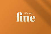 Emirates - Beautiful Curved Font, a Serif Font by Sensatype (Thumbnail 7 of 25)