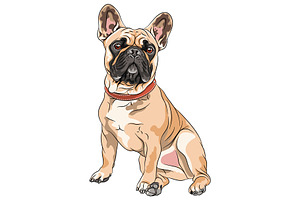 Vector Set French Bulldog Dogs