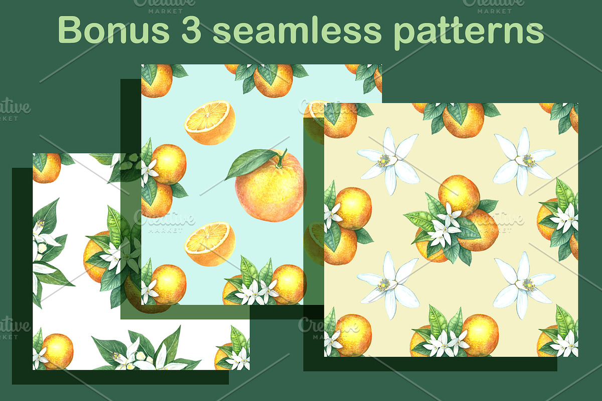 Watercolor oranges, an Illustration by Art Watercolor (Photo 4 of 5)