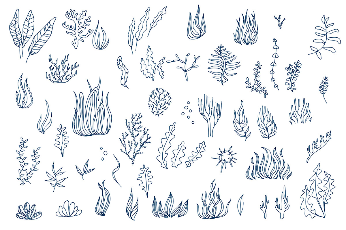 Vector sea creatures, an Object Graphic by CARROTDESIGN (Photo 4 of 6)