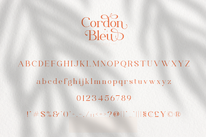 Cordon Bleu Elegant Serif Font