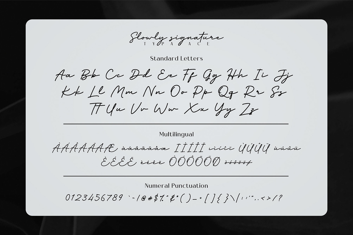 Slowly Signature, a Script Font by Drizy (Photo 7 of 8)