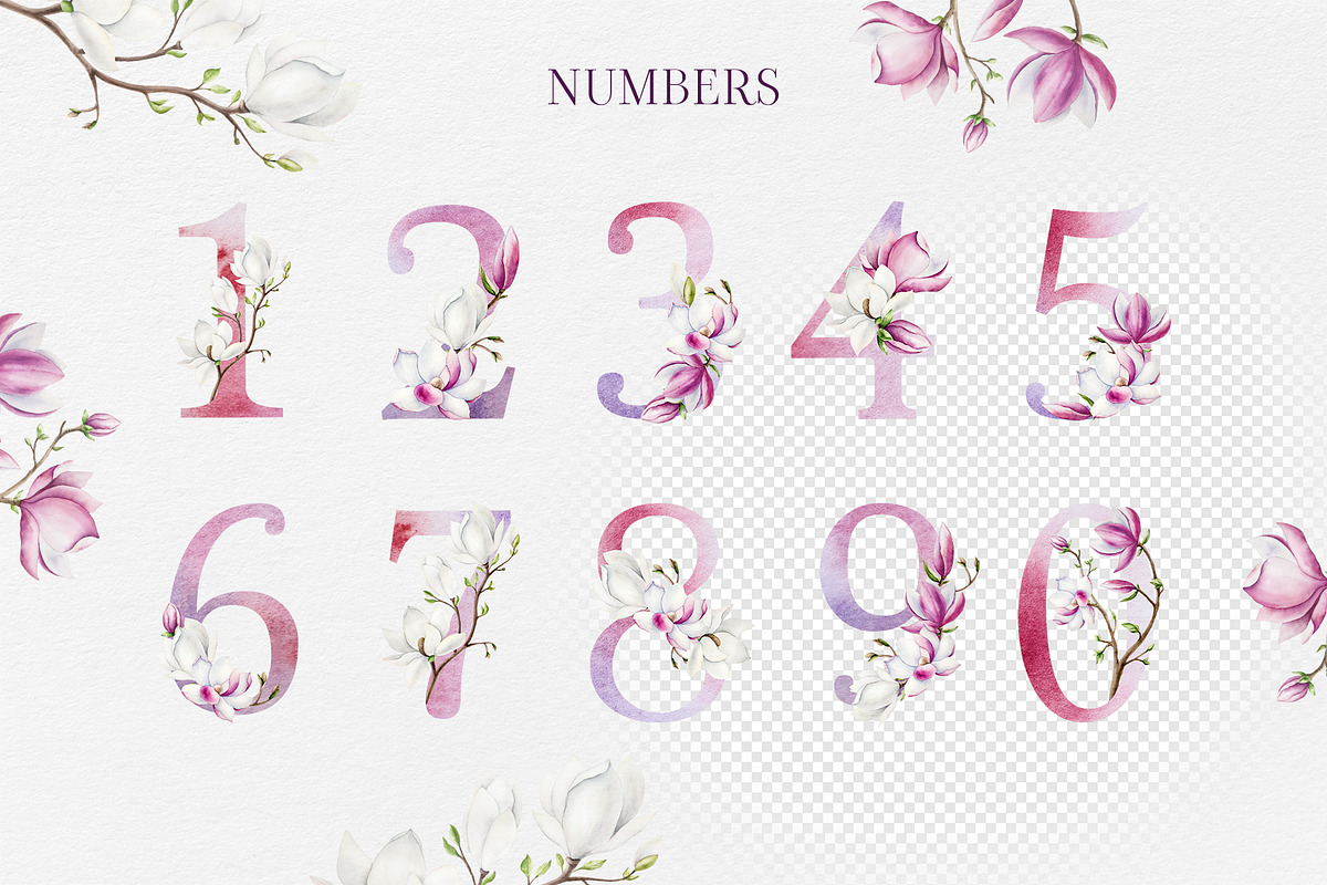 MAGNOLIA - Watercolor collection, a Decorative Illustration by Navenzeles (Photo 10 of 13)