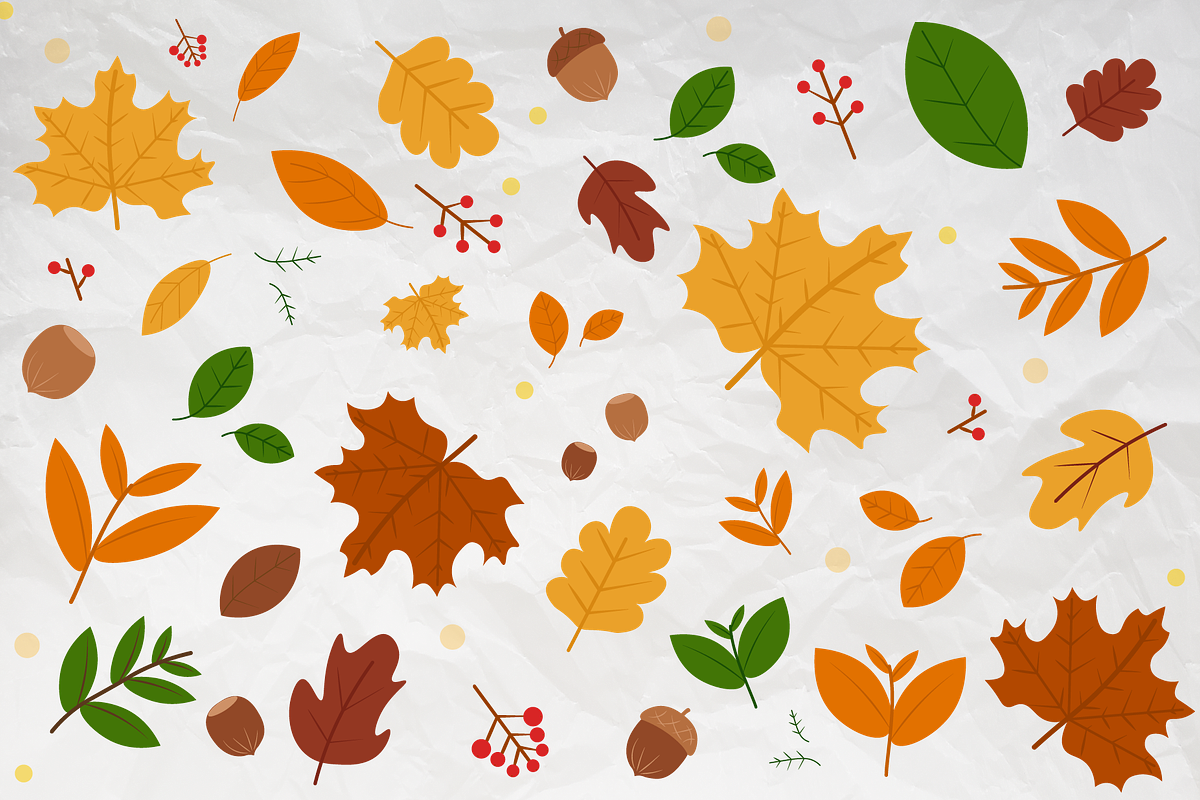 Autumn Vector Collection | Fall Set, an Object Graphic by WildGallant Graphics (Photo 2 of 2)