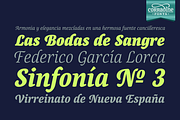 Canciller, a Script Font by Corradine Fonts (Thumbnail 3 of 7)